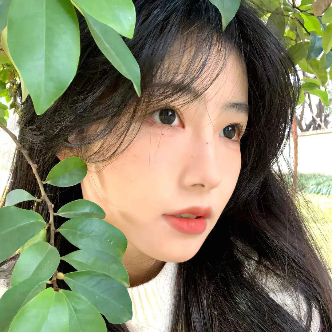 东北老丈人